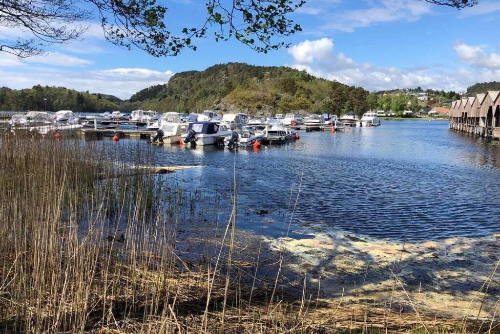 Mandal Apartment Mit Moeglichkeit Ein Boot Zu Benutzen Und Angeln Exteriör bild